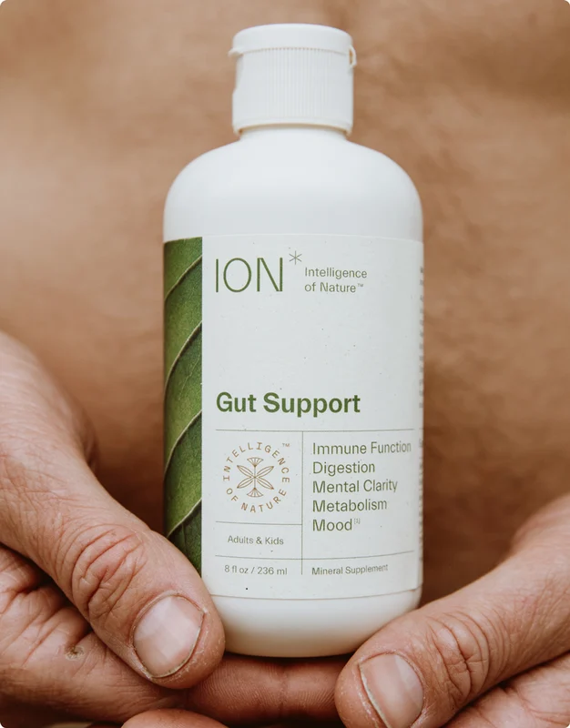 ion* gut support blog post