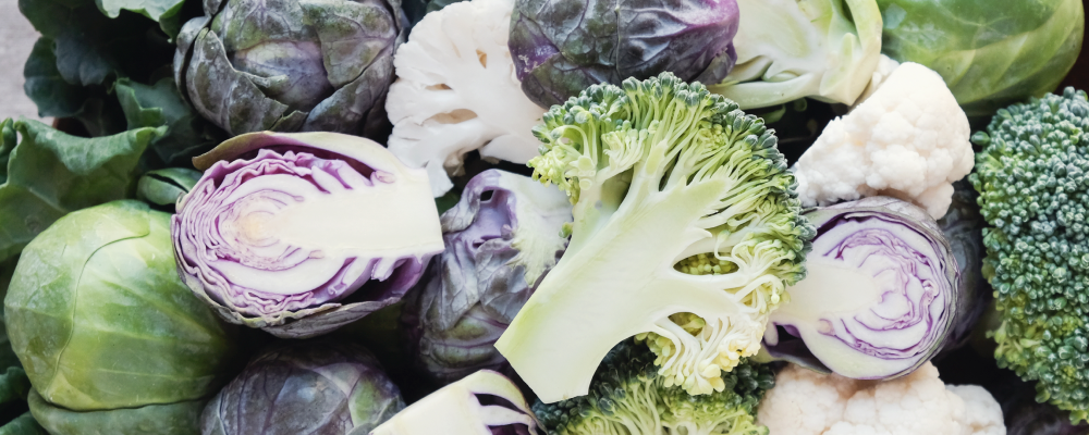 Broccoli and purple vegetables