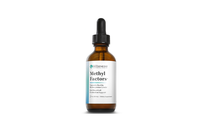 methyl factors™ blog post